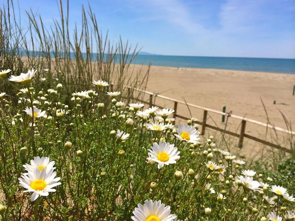 Hotel Rosmarina Marina di Grosseto